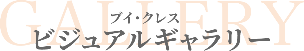 ビジュアルアーカイブ