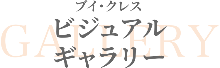 ビジュアルアーカイブ